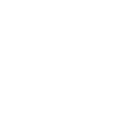 icon-globe
